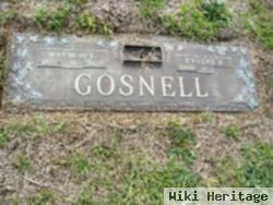 Evelyn Purser Gosnell