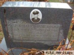 Harry James Yost