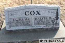 Harvey M Cox