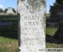 Baby Gray