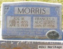 Joseph Martin "joe" Morris