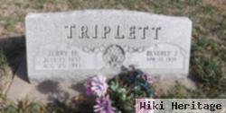 Jerry H Triplett