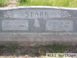 James Edward Stark, Sr