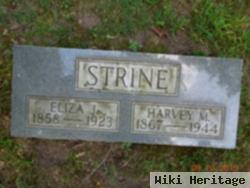 Harvey M Strine