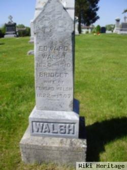 Edward Walsh