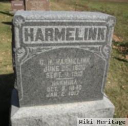 Harmina Hamelink