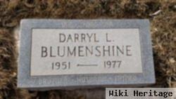 Darryl Lynn Blumenshine