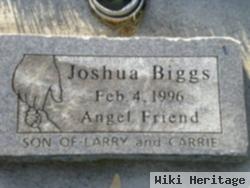 Joshua Biggs