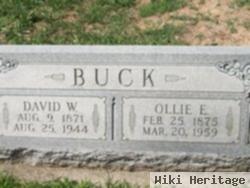 David W Buck