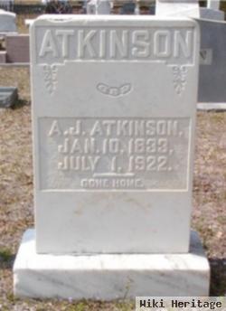 Andrew J Atkinson