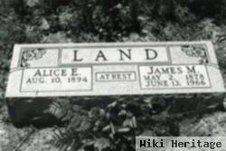 Alice Elizabeth Archer Land