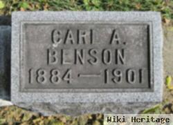 Carl A Benson