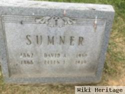 David A. Sumner