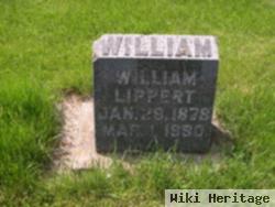 William Lippert