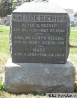 Peter B. Reeser