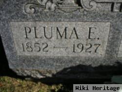 Pluma Ellen Hodge Cole