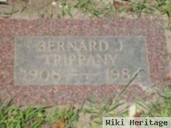 Bernard J Trippany