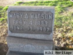 Mary Ann Moore Watson