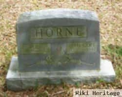 Vol Horne