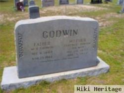 William Henry Godwin