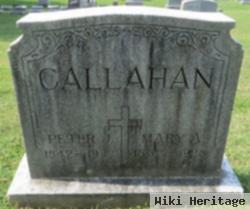 Peter J Callahan