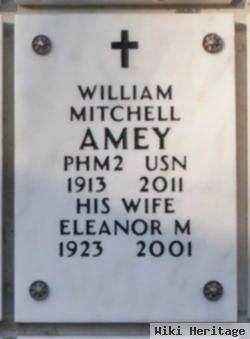 William Mitchell Amey