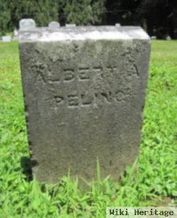 Albert A Peling