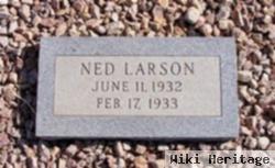 Ned Larson