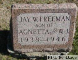 Jay W Freeman