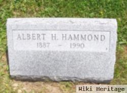 Albert H Hammond