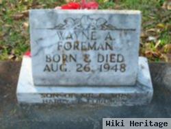 Wayne A. Foreman