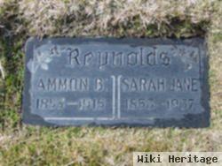 Ammon Brown Reynolds