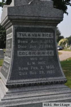 Tula Van Rice