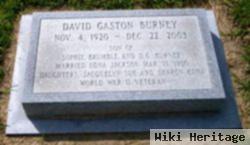 David Gaston Burney