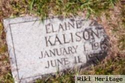 Elaine Z. Kalison