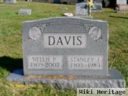 Nellie P Davis