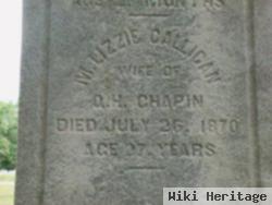 Mary Elizabeth "lizzie" Calligan Chapin