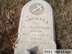 Thomas A Tucker