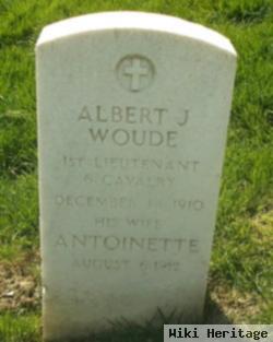 Albert J Woude