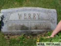 Simon Henry Werry