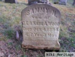 Sammy N Wood
