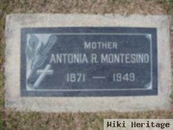 Antonia R Montesino