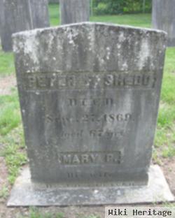 Peter F Shedd