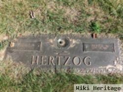 William H Hertzog