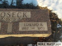 Edward A Boseck