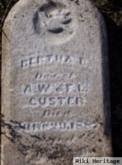 Bertha Custer