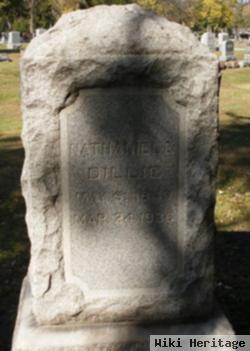 Nathaniel E. Dillie