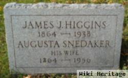 James J. Higgins