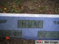 David Lininger Hum