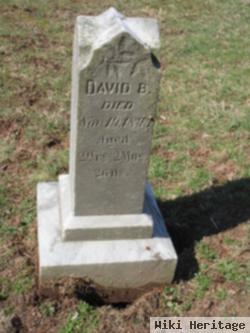 David B Thomas